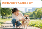 犬が飼い主に甘える理由とは？