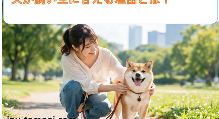 犬が飼い主に甘える理由とは？