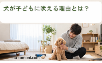 犬が子どもに吠える理由とは？