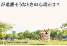 犬が退屈そうなときの心理とは？