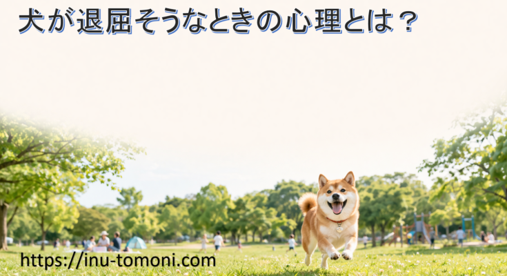犬が退屈そうなときの心理とは？