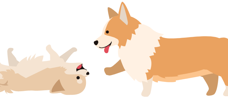 犬の病気