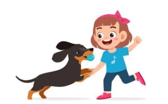 犬の病気