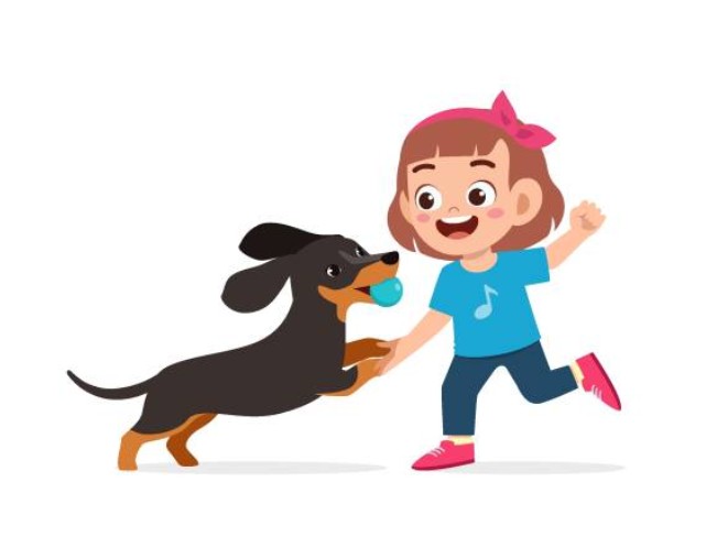 犬の病気