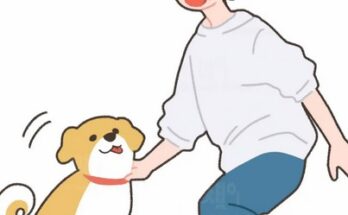 犬の病気