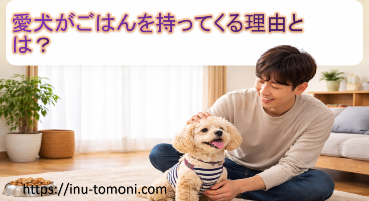 愛犬がごはんを持ってくる理由とは？