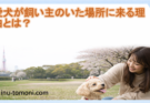 愛犬が飼い主のいた場所に来る理由とは？5つの心理を解説