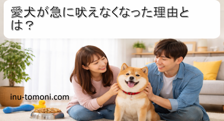 愛犬が急に吠えなくなった理由とは?