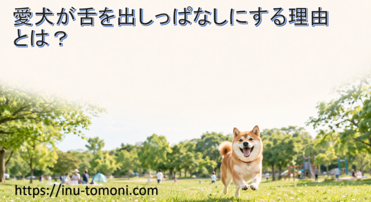 愛犬が舌を出しっぱなしにする理由とは？