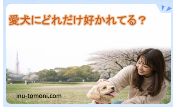 愛犬にどれだけ好かれてる？