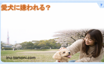 愛犬に嫌われる?
