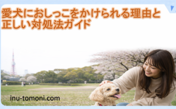 愛犬におしっこをかけられる理由と正しい対処法ガイド