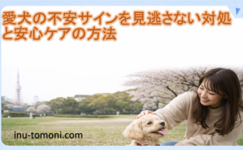 愛犬の不安サインを見逃さない対処と安心ケアの方法
