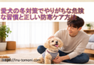 愛犬の冬対策でやりがちな危険な習慣と正しい防寒ケア方法