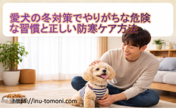 愛犬の冬対策でやりがちな危険な習慣と正しい防寒ケア方法
