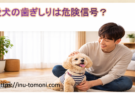 愛犬の歯ぎしりは危険信号?考えられる原因と正しい対処法を解説