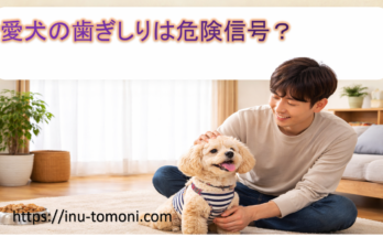 愛犬の歯ぎしりは危険信号?