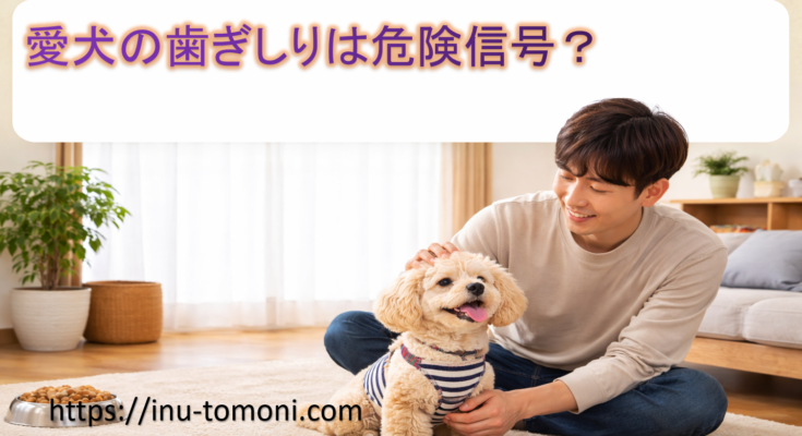 愛犬の歯ぎしりは危険信号？