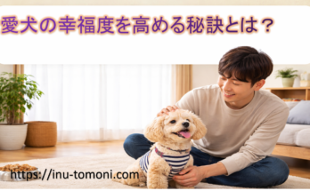 愛犬の幸福度を高める秘訣とは？