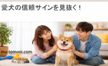 愛犬の信頼サインを見抜く！