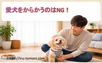 愛犬をからかうのはNG！