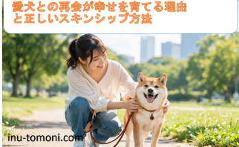 愛犬との再会が幸せを育てる理由と正しいスキンシップ方法
