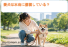 愛犬は本当に信頼している？犬が見せるサインと関係改善のポイント