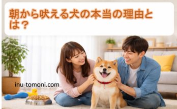 朝から吠える犬の本当の理由とは？