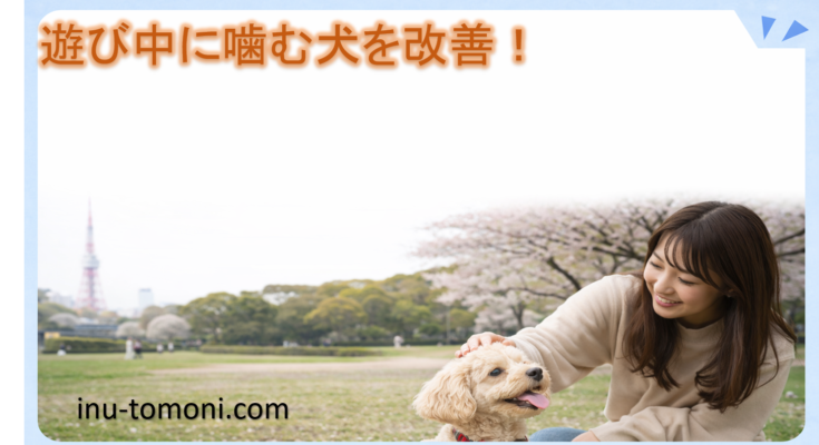 遊び中に噛む犬を改善！