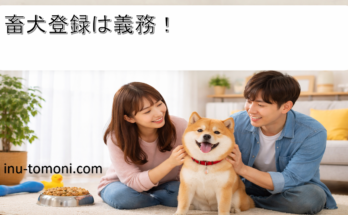 畜犬登録は義務!