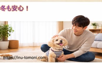 冬も安心!