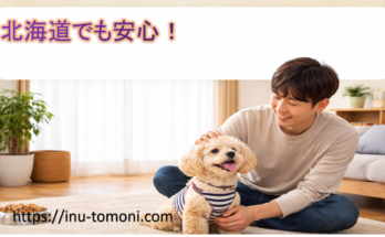 北海道でも安心！