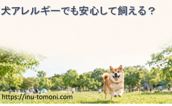 犬アレルギーでも安心して飼える？