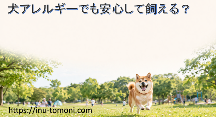 犬アレルギーでも安心して飼える?