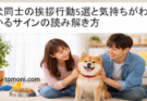 犬同士の挨拶行動5選と気持ちがわかるサインの読み解き方