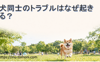 犬同士のトラブルはなぜ起きる？