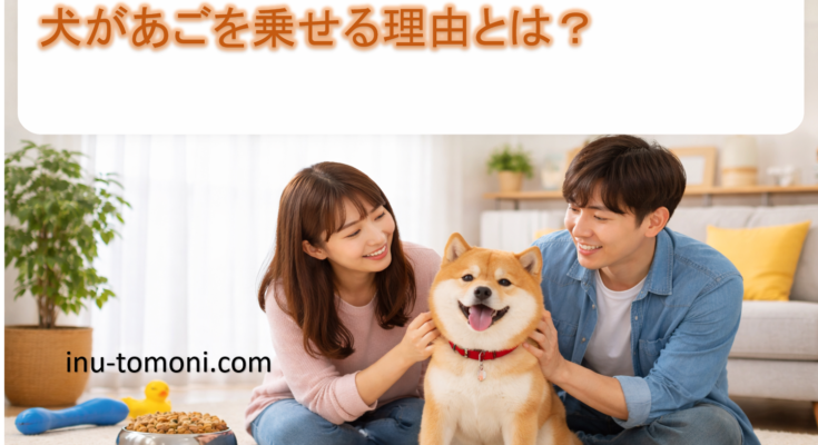 犬があごを乗せる理由とは?