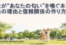 犬が“あなたの匂い”を嗅ぐ本当の理由と信頼関係の作り方