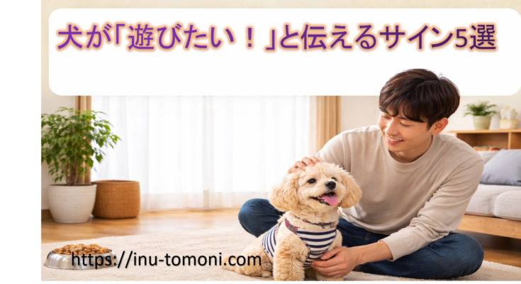 犬が「遊びたい！」と伝えるサイン5選