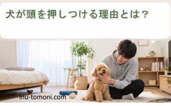 犬が頭を押しつける理由とは？