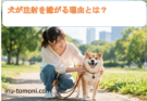 犬が注射を嫌がる理由とは？