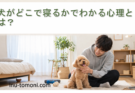 犬がどこで寝るかでわかる心理とは？