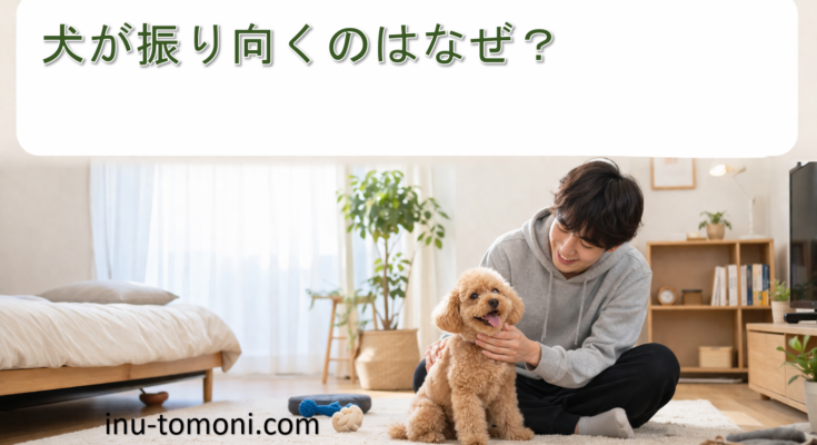 犬が振り向くのはなぜ？