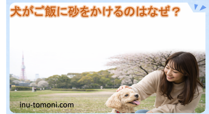 犬がご飯に砂をかけるのはなぜ？