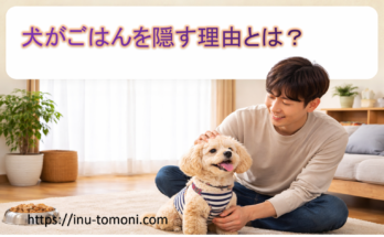 犬がごはんを隠す理由とは？