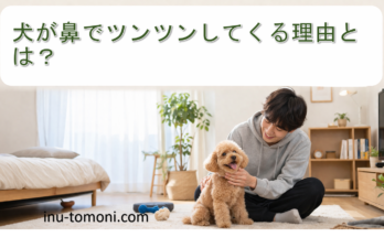 Inu ga hana de tsun tsun shite kuru riyū to wa?