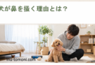 犬が鼻を掻く理由とは？