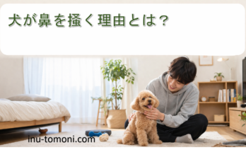 犬が鼻を掻く理由とは？