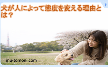 犬が人によって態度を変える理由とは？