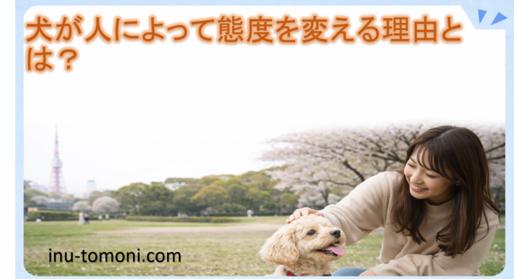 犬が人によって態度を変える理由とは？